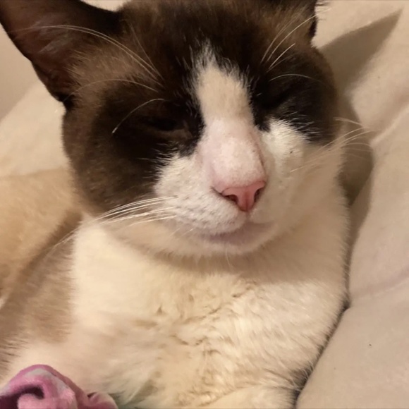 Meet your Posher, Beth - Picture 3 of 10